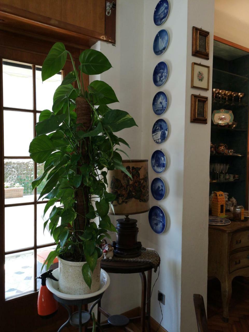 Wanderlust Bnb Pisa Exteriör bild